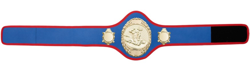 MMA CHAMPIONSHIP BELT-PRO286/G/MMAG-10+ COLOURS